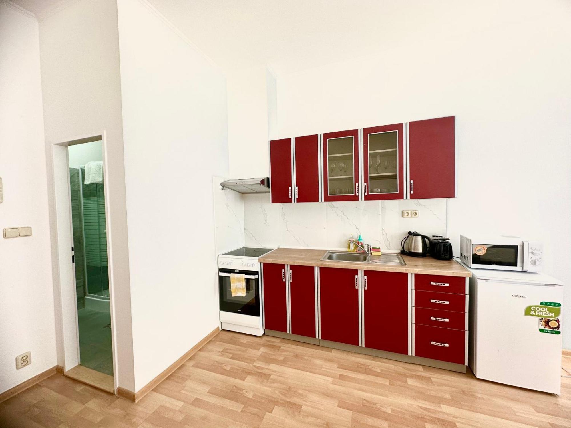 Apartment Erika Karlovy Vary Habitación foto